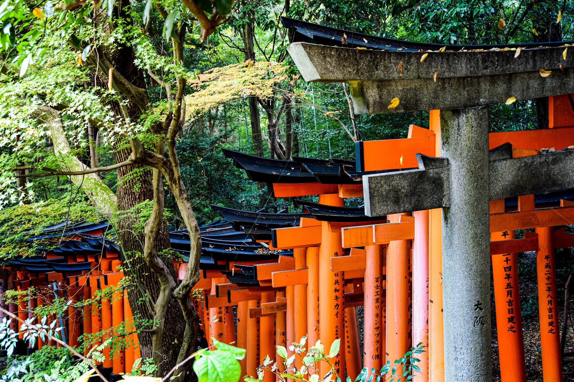 Fushimi Inari Taisha