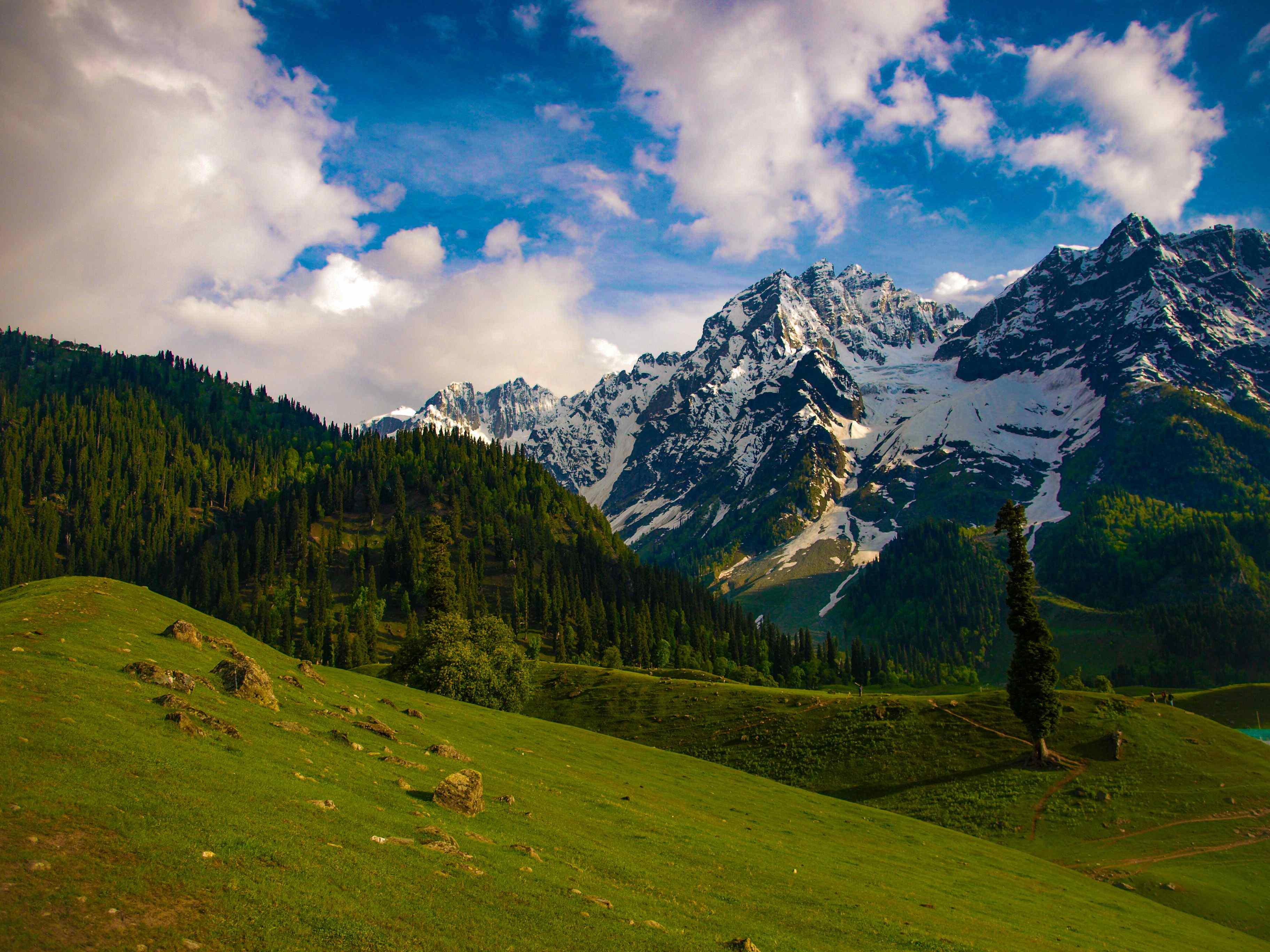 Paradise Kashmir